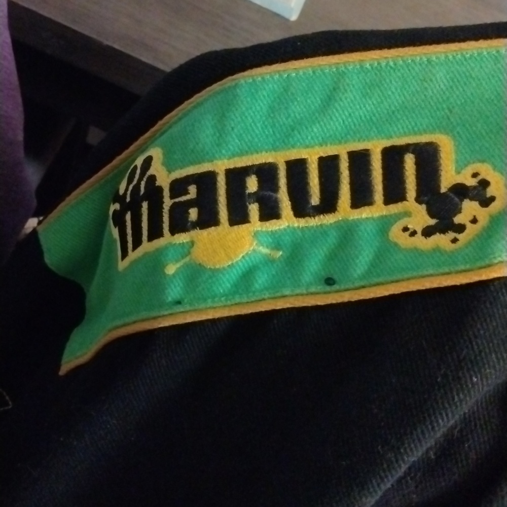 Jacket - Picture 6 of 7